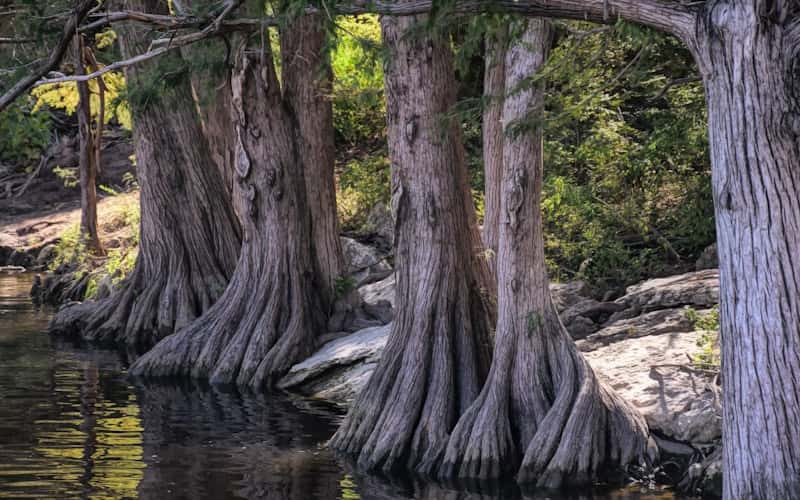 Personal injury lawyer in Bastrop Texas