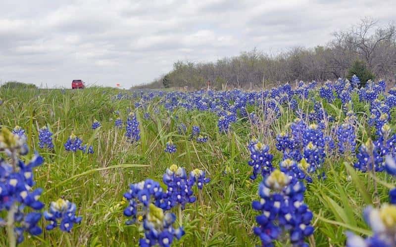 Abogado de lesiones personales en Hutto Texas