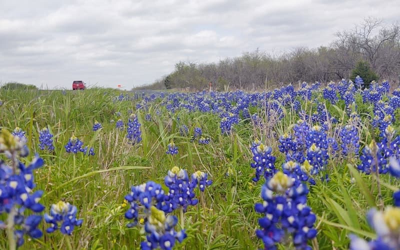 Box Truck Accident lawyer in Hutto Texas