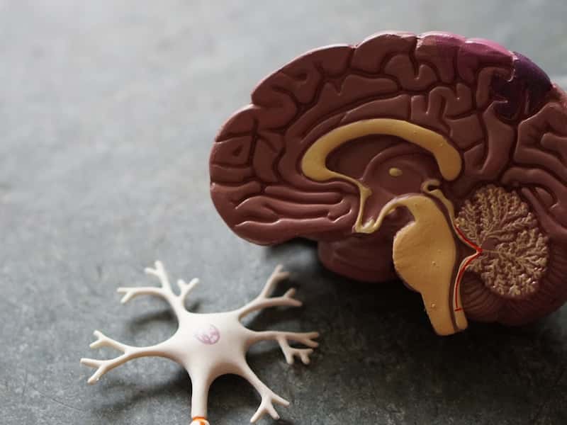 Lesión Cerebral Traumática